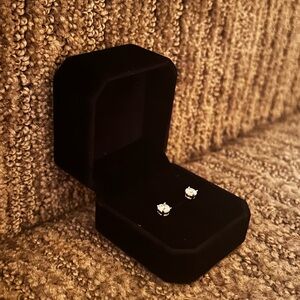 Chic Silver Stud Earrings